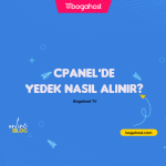 cPanel Yandex Mail MX Yönlendirme