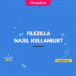 cPanel Yandex Mail MX Yönlendirme