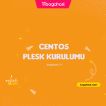 Plesk Mysql invalid default value Hatası