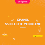 Bogahost Sanal Sunucu Paketleri Hakkında