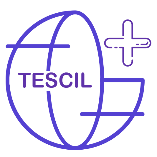 Alan Adı Tescil